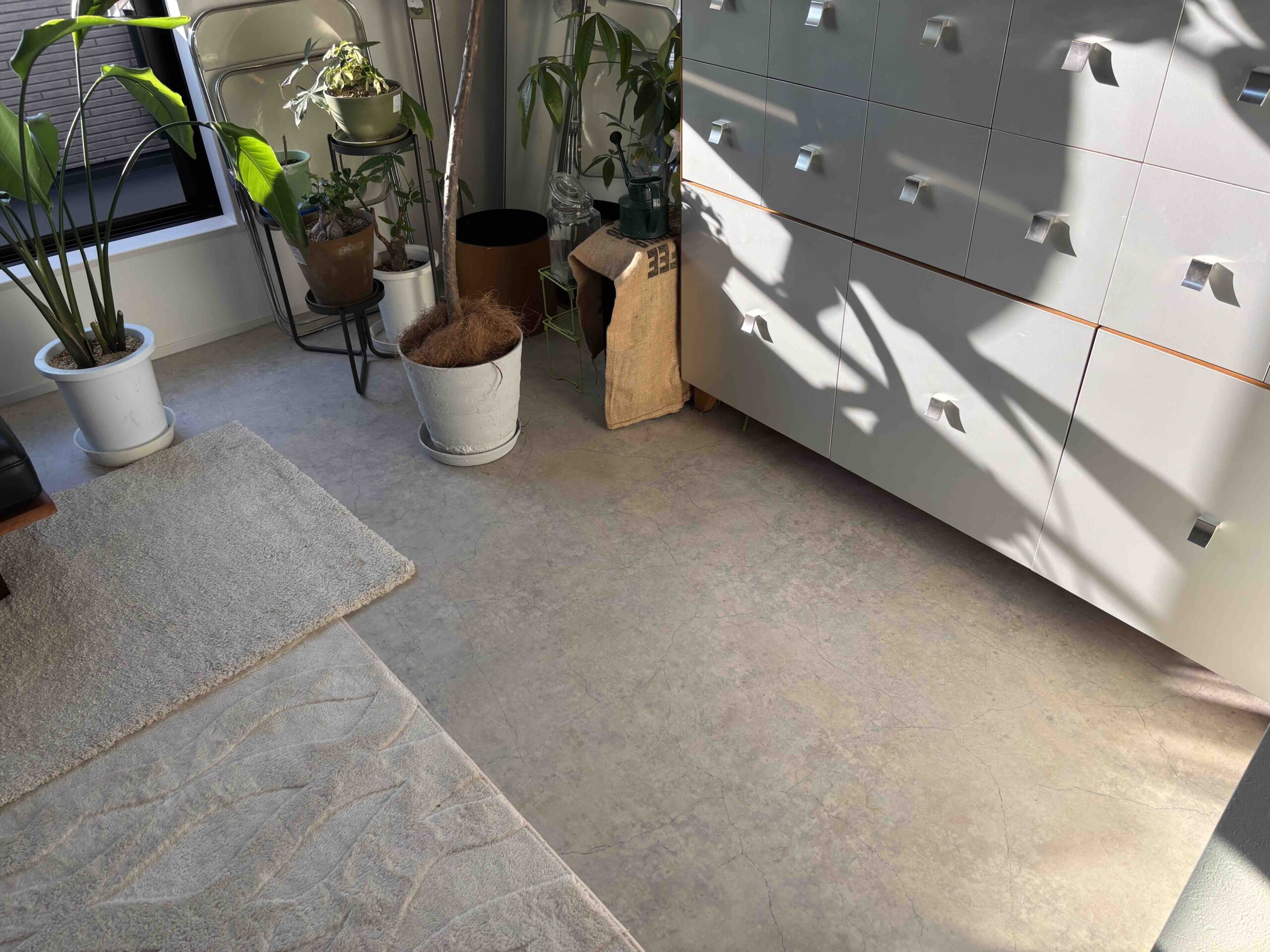 Hige-homeのクッションフロア